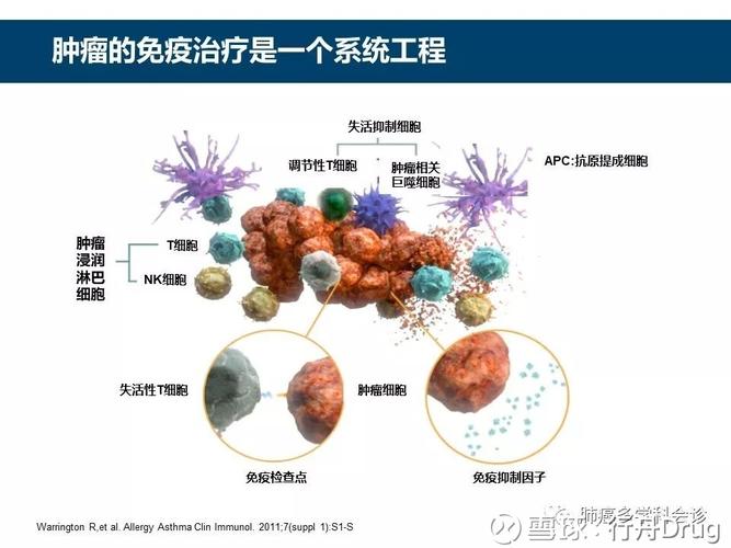 免疫與基因協(xié)奏曲：譜寫癌癥第五療法的序章